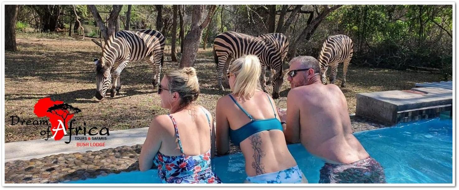Dream Of Africa Bush Lodge Marloth Park Exterior photo